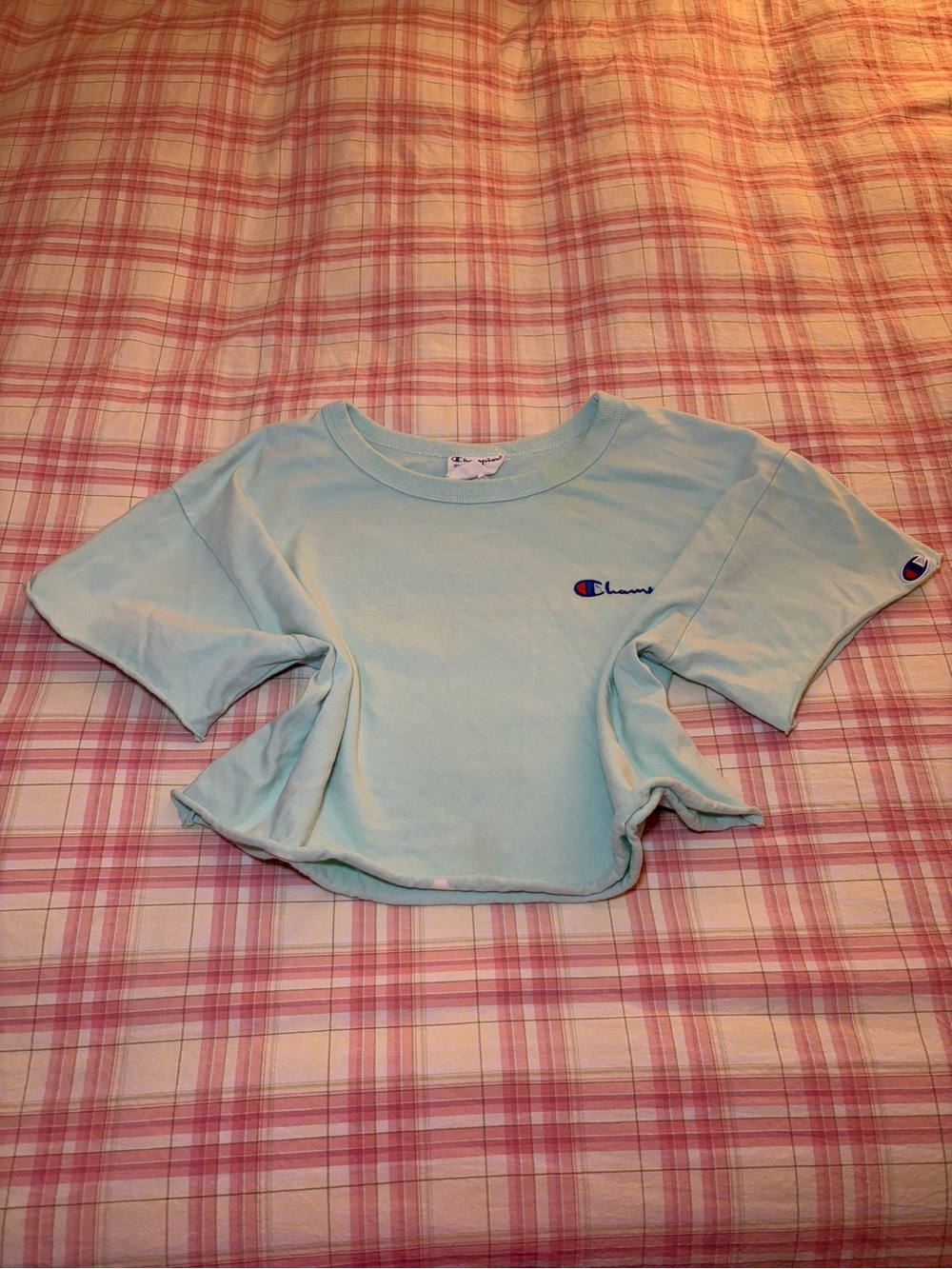 Champion Baby Blue Cropped Tee